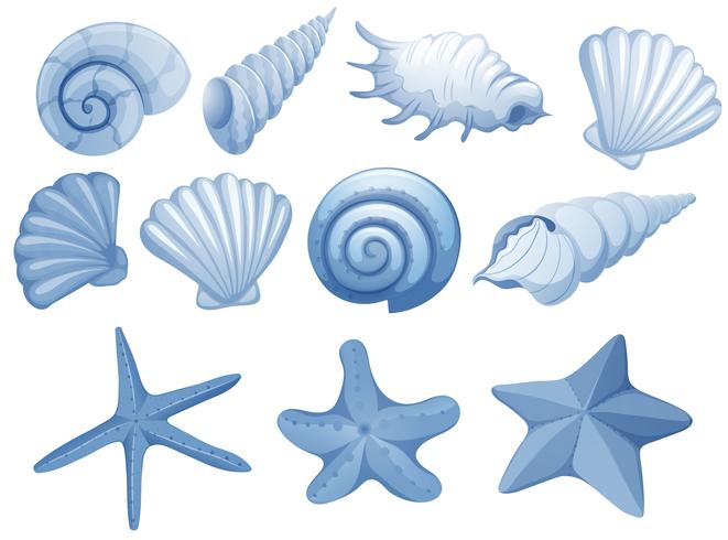 A Set of Blue Seashell vector