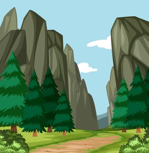 Beautiful wood canyon scene vector