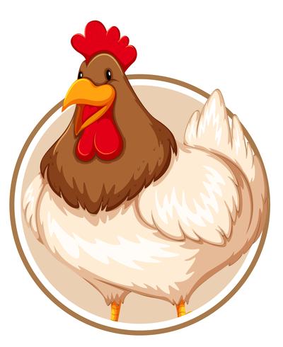 Pollo en banner círculo vector