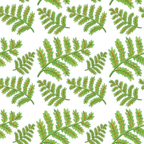 Green fern seamless pattern vector