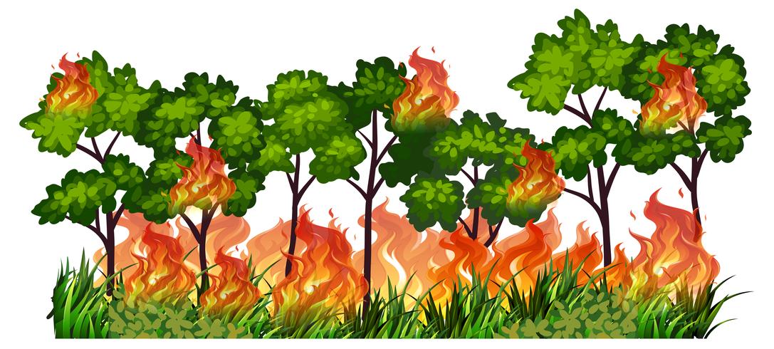 Árbol aislado naturaleza fuego vector