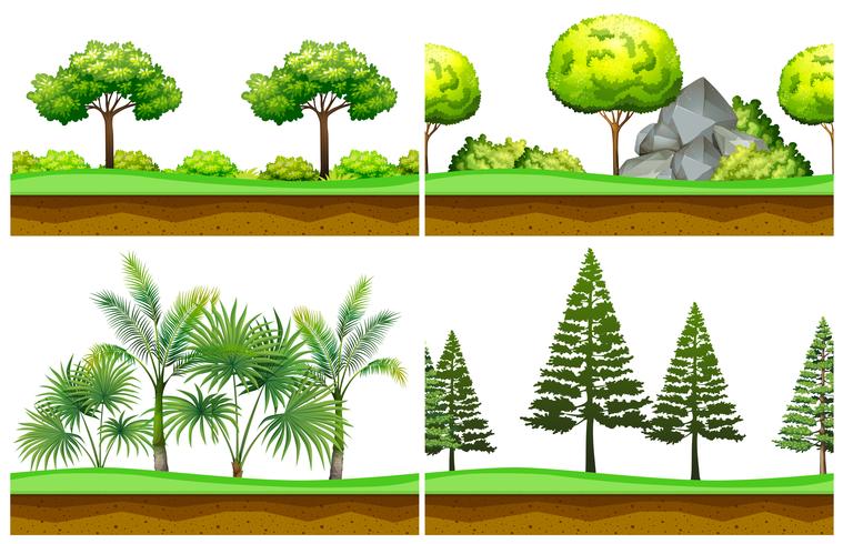 Seamless background with scenes in the park vector