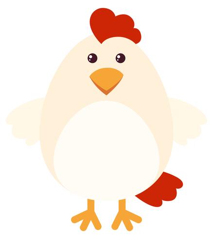 Pollo blanco con cara bonita. vector