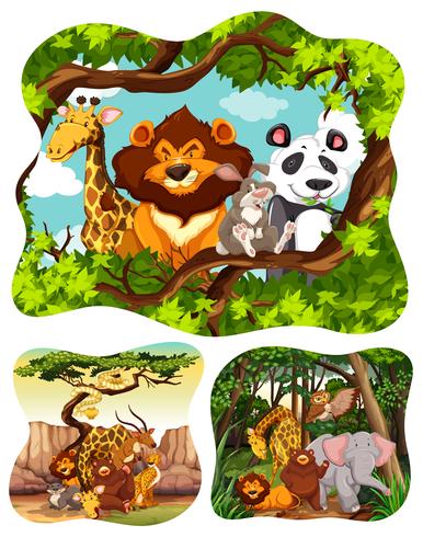 Wild animals in forest vector