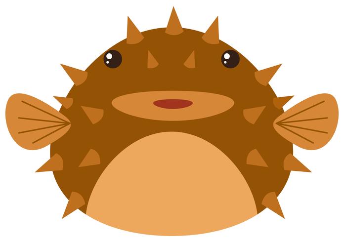 Download Cute pufferfish on white background - Download Free Vectors, Clipart Graphics & Vector Art