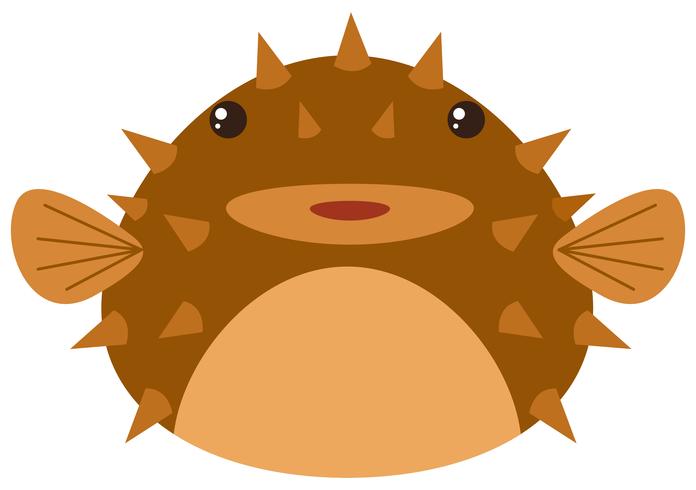 Cute pufferfish on white background vector