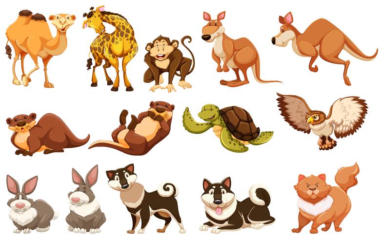 Set of different types of animals vector