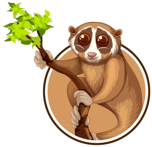 Loris en plantilla de círculo vector