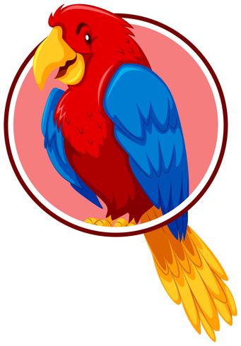 A parrot in circle template vector