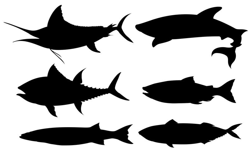 Set of black outline fish vector