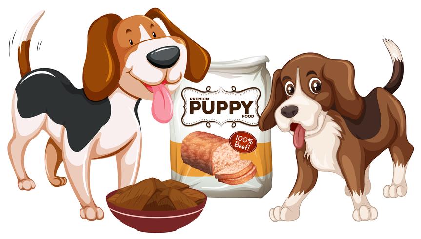 Puppy and Food on White Background vector