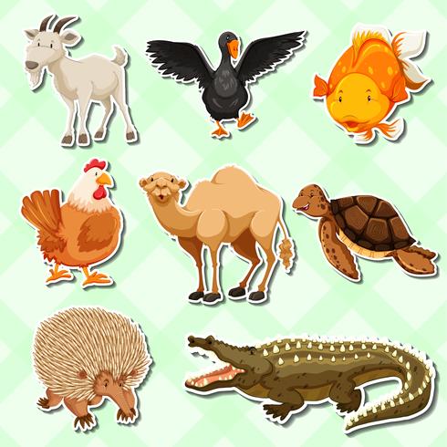 Pegatina de diseño con muchos animales. vector