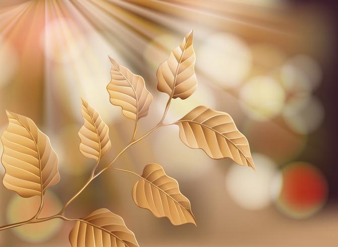 Dry Leaf on Nature Background vector