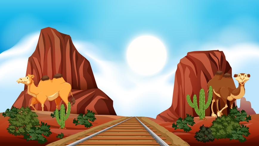 Railroad through the desert  vector