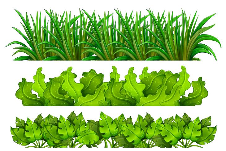 A set of green grass vector