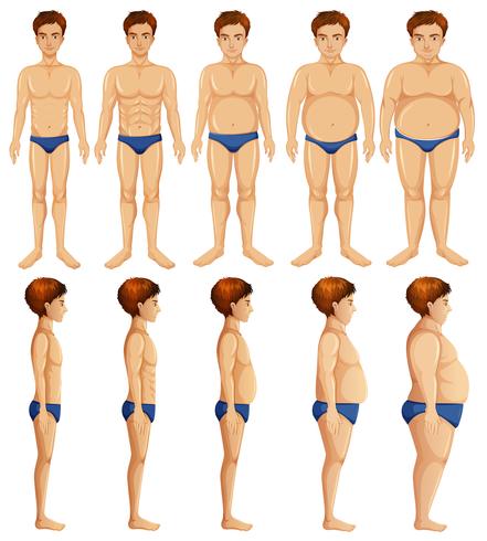 A Set of Man Body Transformation  vector