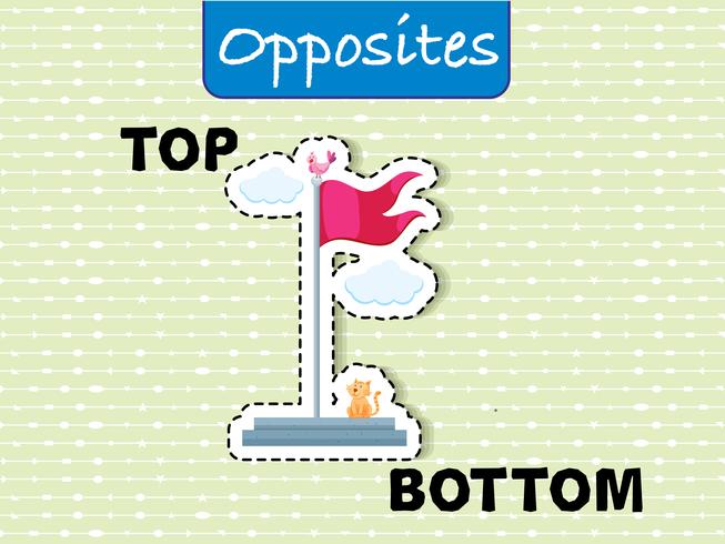 Opposite wordcard for top and bottom vector