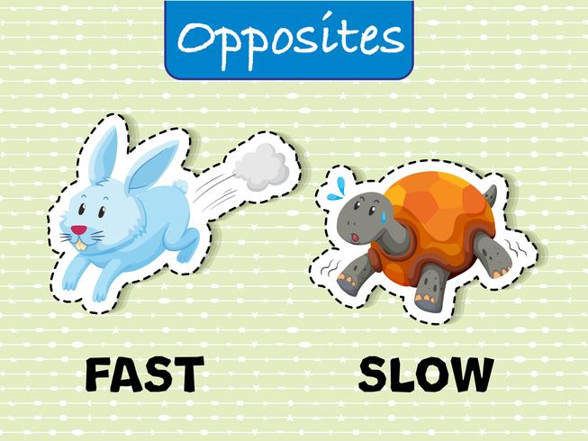 Opposite words for fast and slow vector