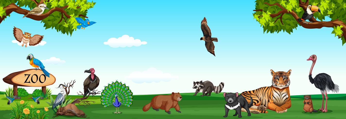 Wild animals in the zoo vector