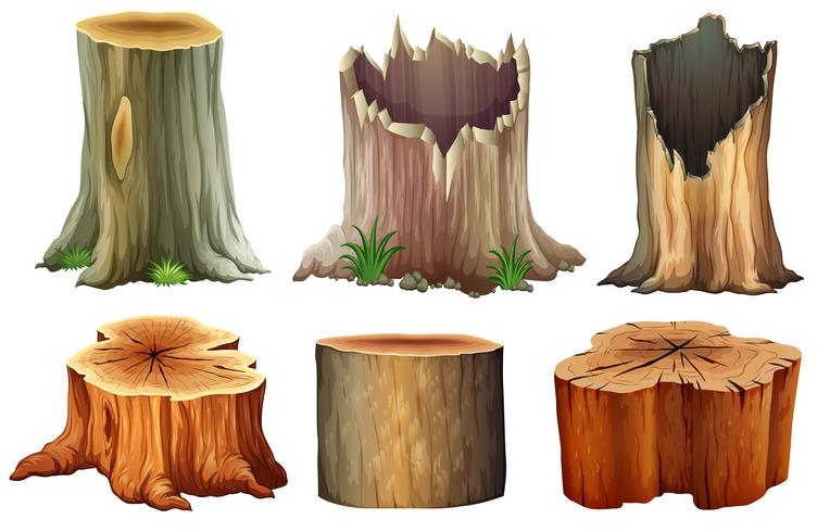 Different tree stumps vector