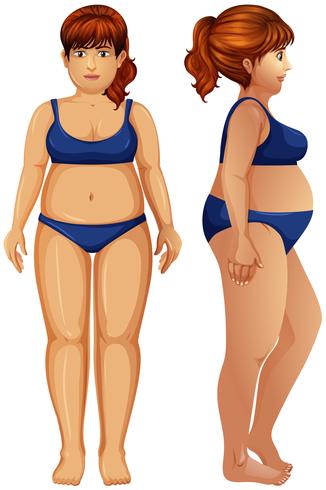 An overweight woman figure - Download Free Vector Art, Stock Graphics & Images