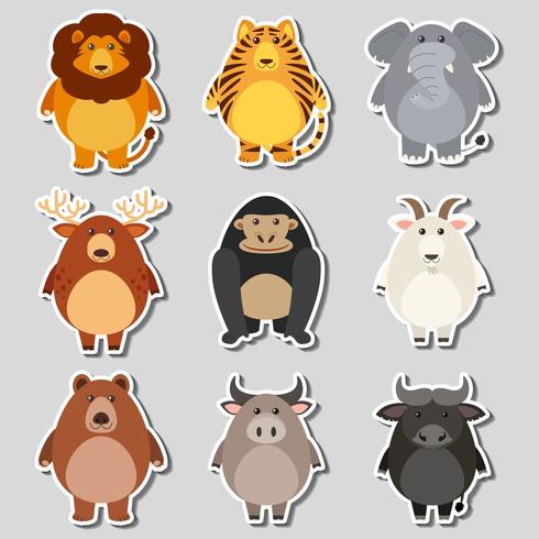 Sticker set with wild animals on gray background - Download Free Vector Art, Stock Graphics & Images