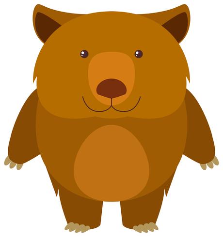Wombat on white background vector