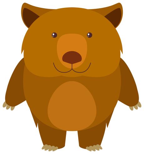 Wombat sobre fondo blanco vector