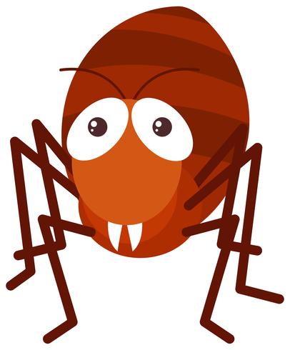 Red ant on white background vector