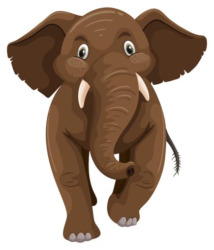 Elefante bebé de piel marrón. vector