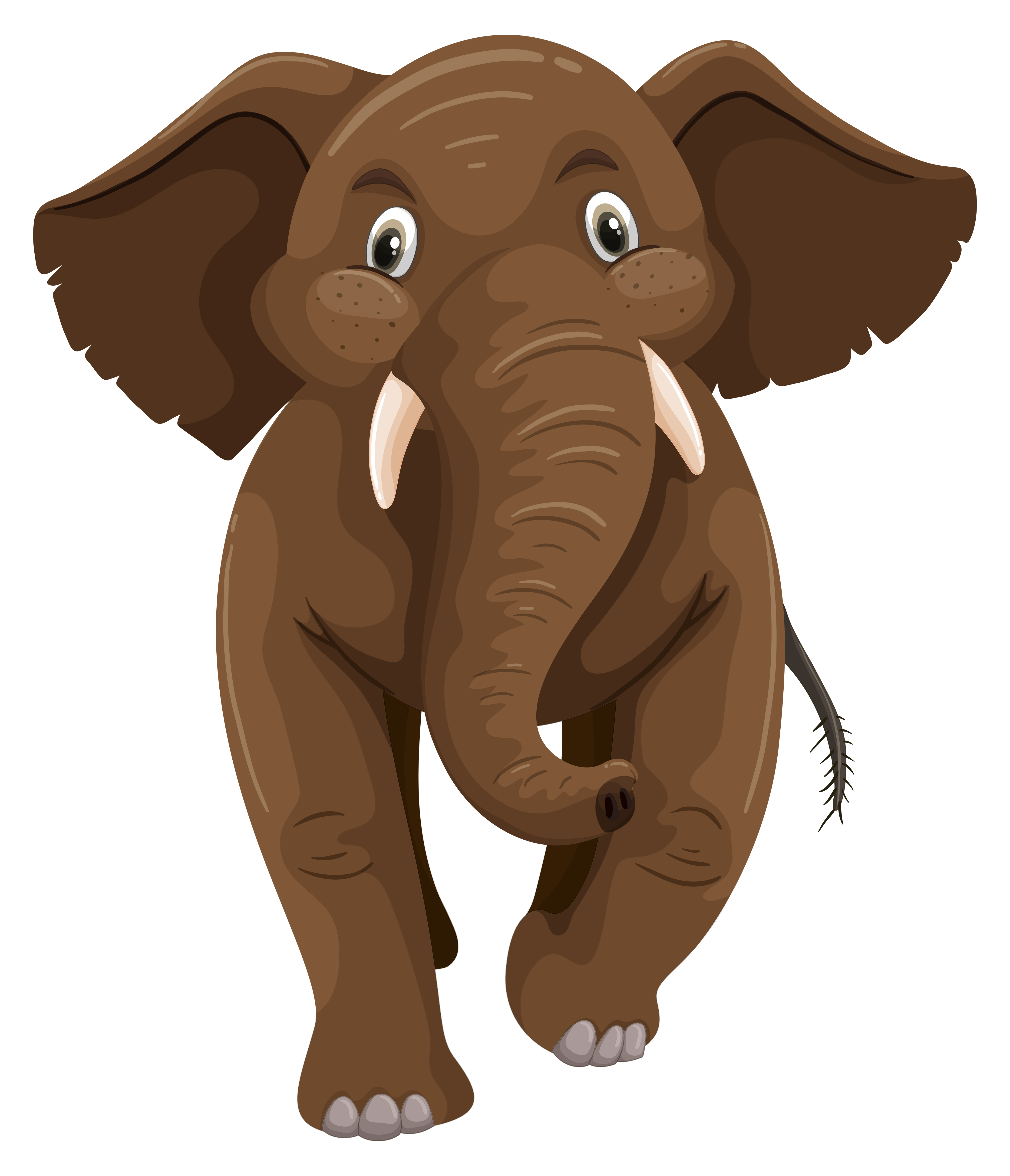 Baby Elephant With Brown Skin 303200 Vector Art At Vecteezy