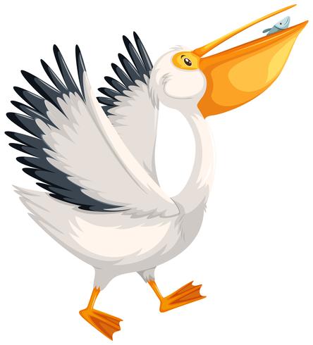 Un personaje pelicano caminando. vector