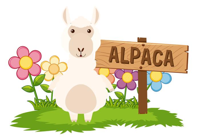 Cute alpaca in garden vector