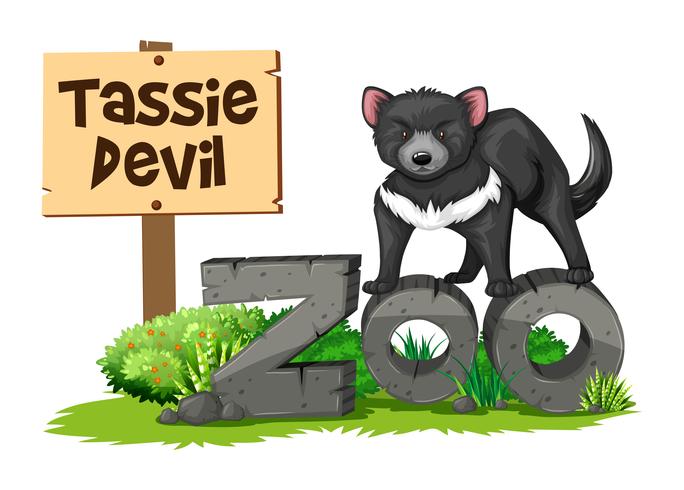 Tasmanian devil in the zoo vector