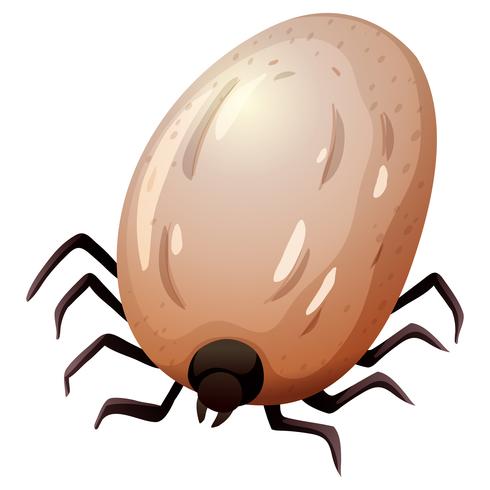 tick concept white background vector