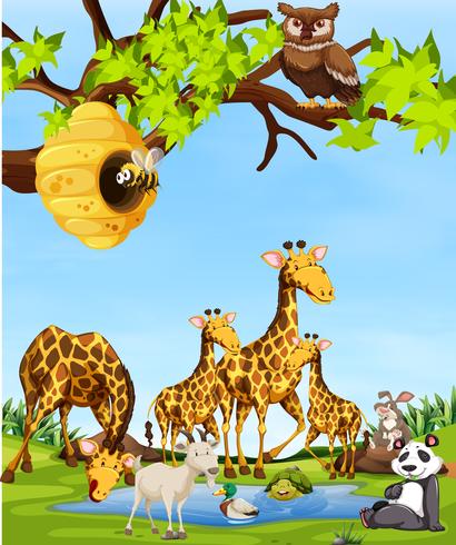 Wildlife animals scene vector