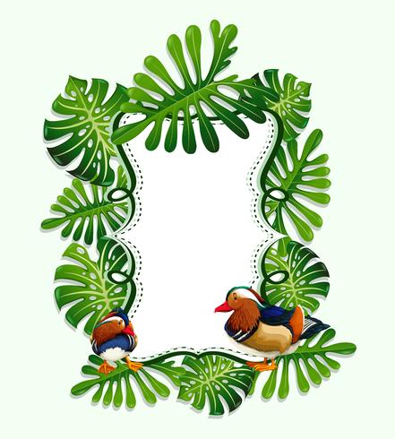 Frame design with leaves and bird vector