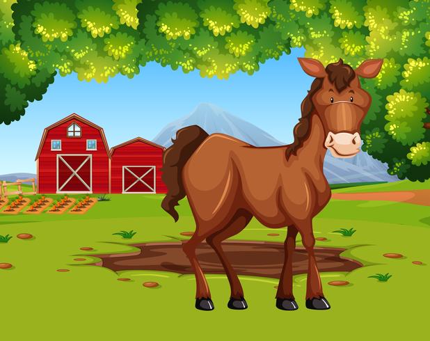 Horse in the farmland vector