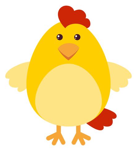 Cute chicken on white background vector