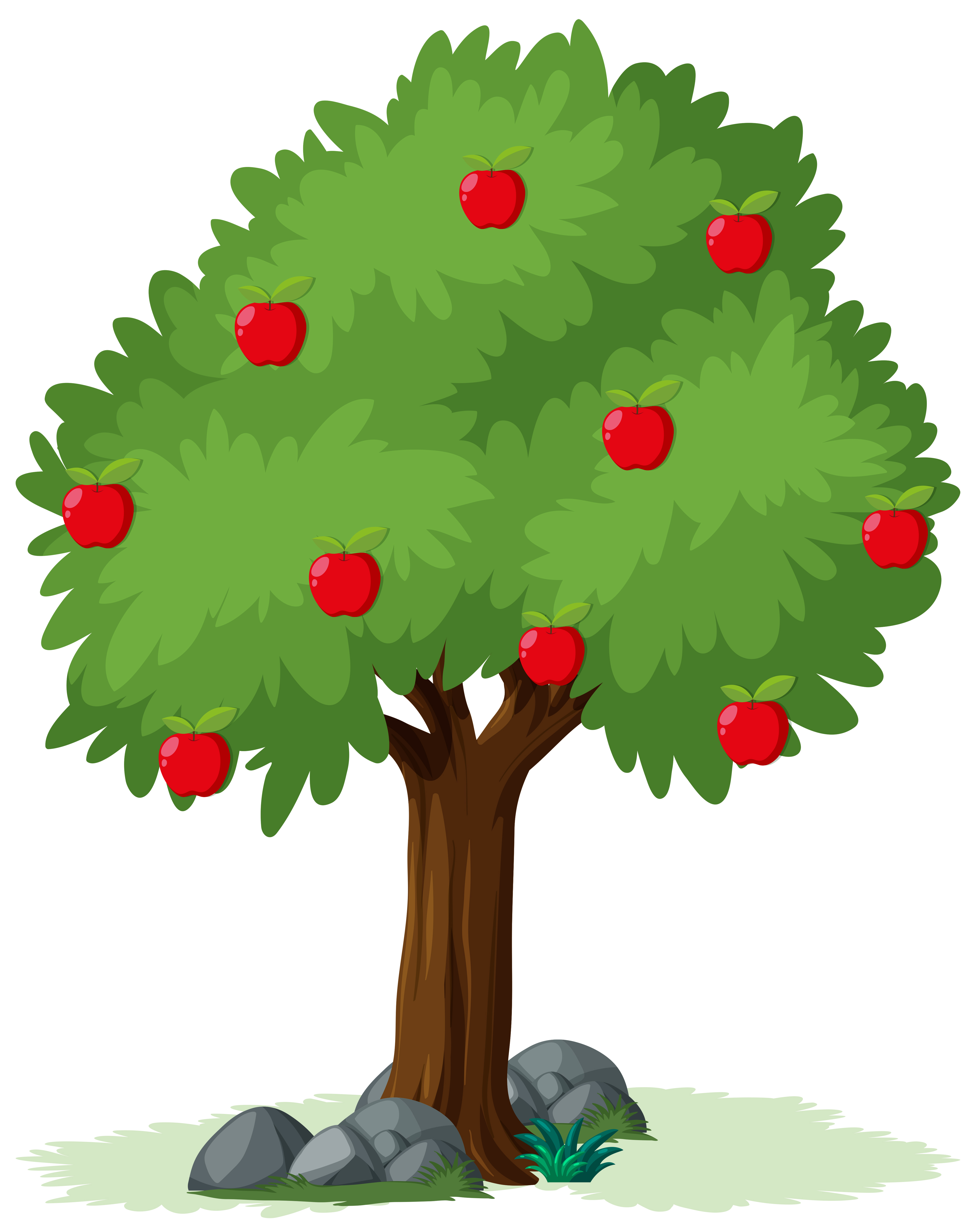 Isolated apple tree on white background 303412 Download Free Vectors Clipart Graphics