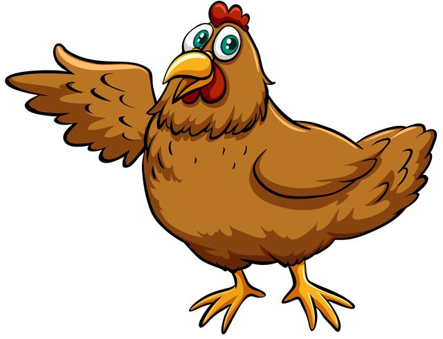 Brown spring chicken vector