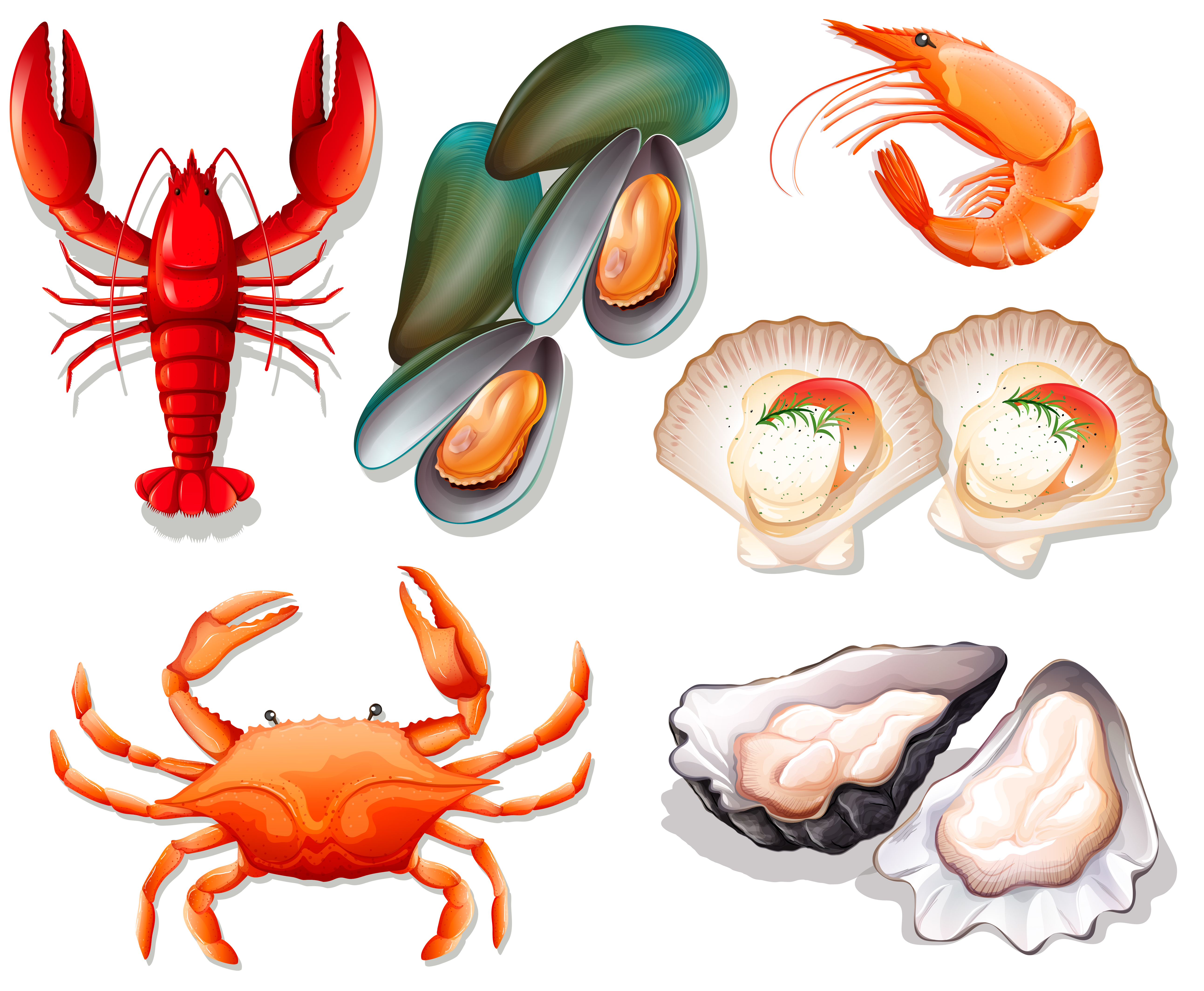 Морепродукты рисунок на белом фоне
