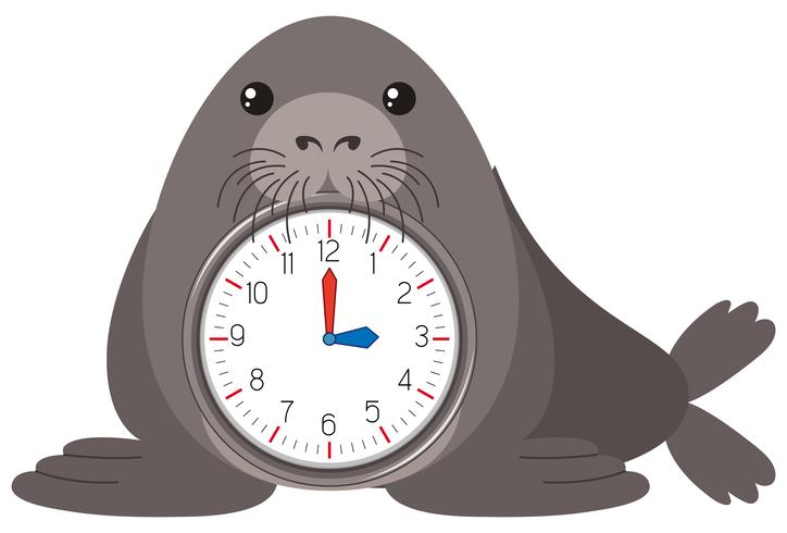 Cartoon seal clock template vector