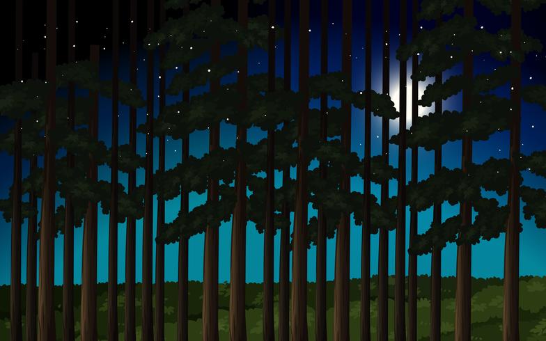 Forest at night scene vector