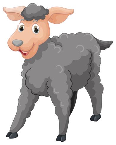 Gray sheep with happy face vector