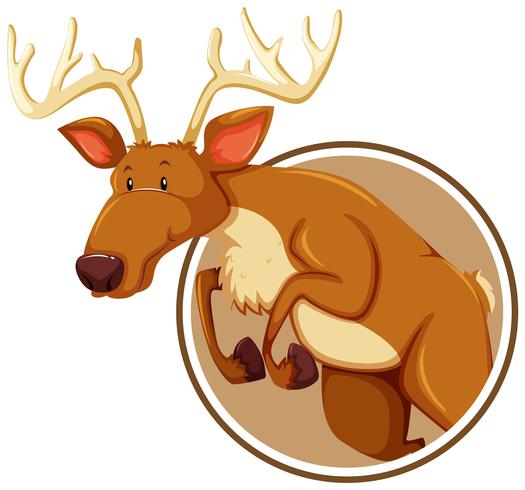 A deer on sticker banner vector