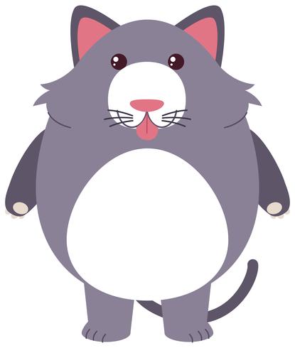 Gray cat with silly face vector