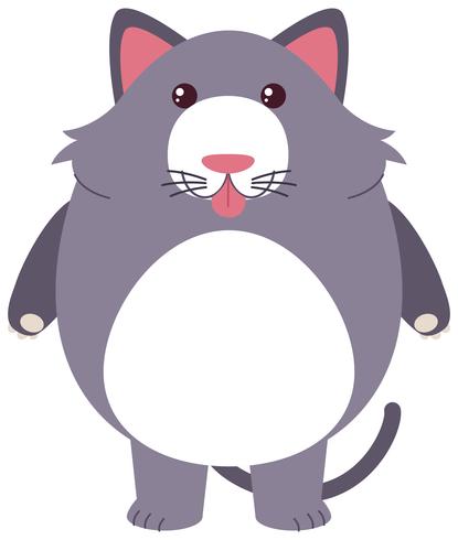 Gato gris con cara tonta vector