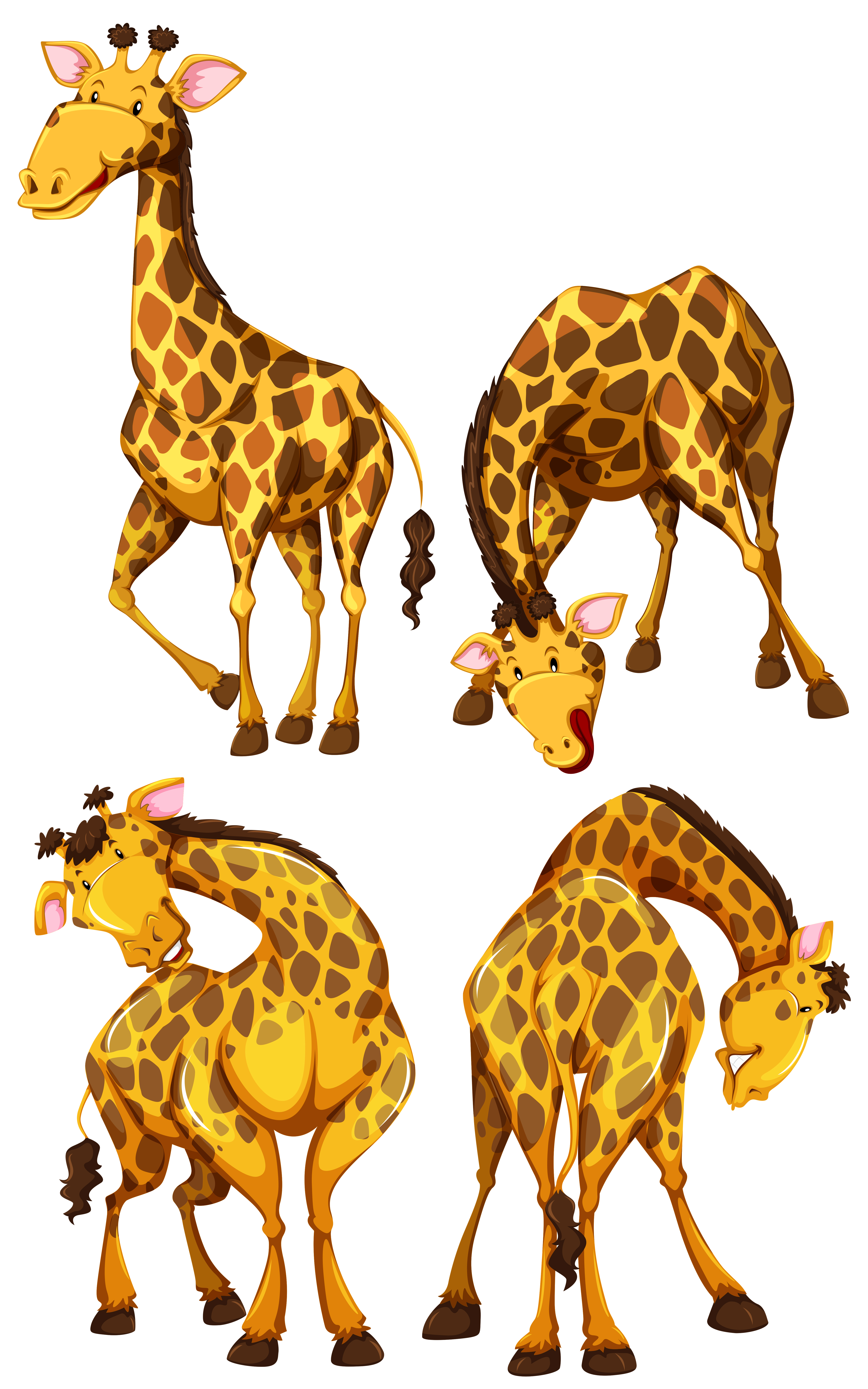 Download Giraffe in four different poses - Download Free Vectors ...