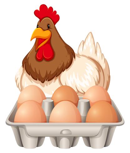 Happy Hen and the Eggs vector